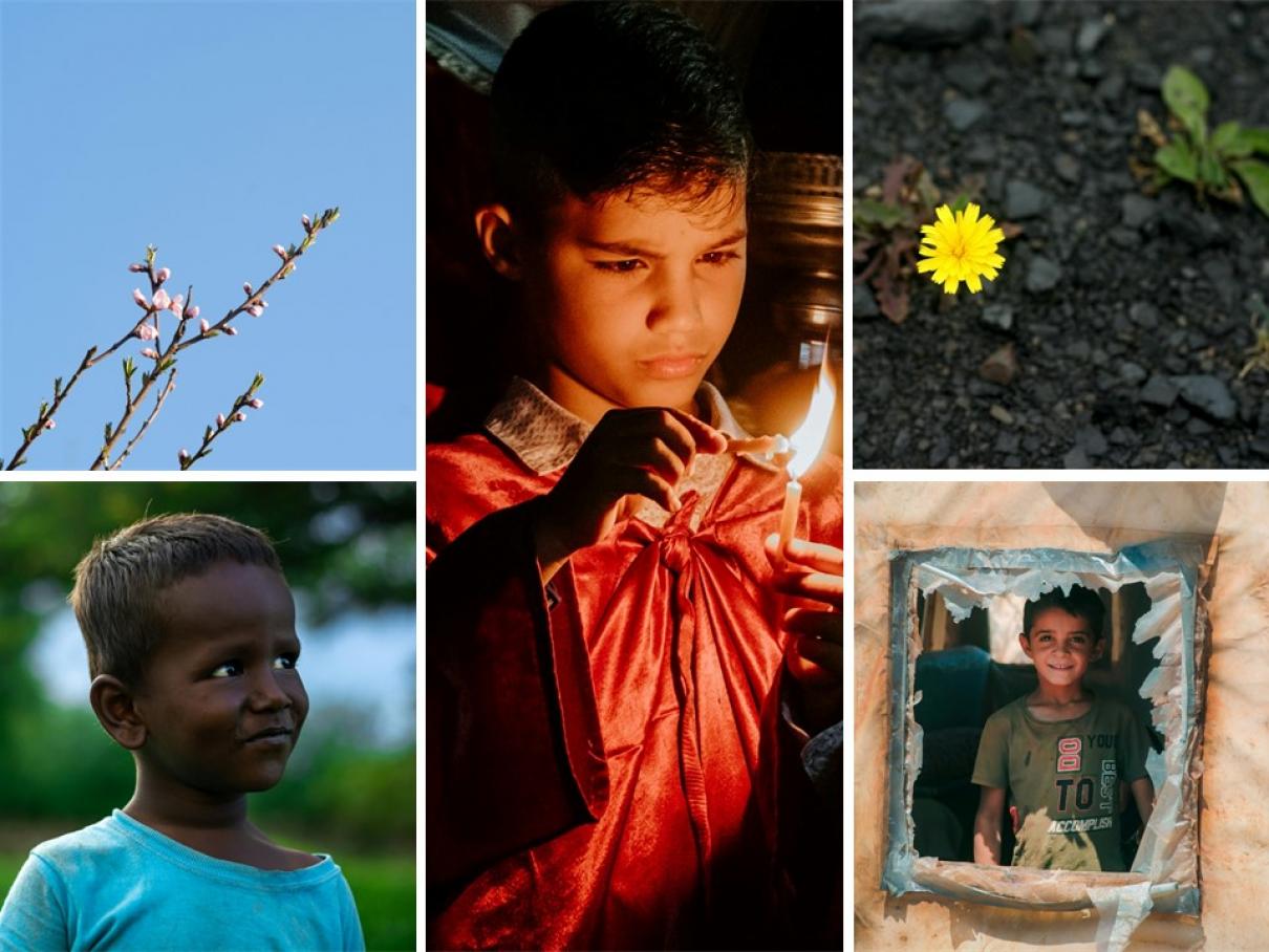 Composição imagem Concurso Fotografia