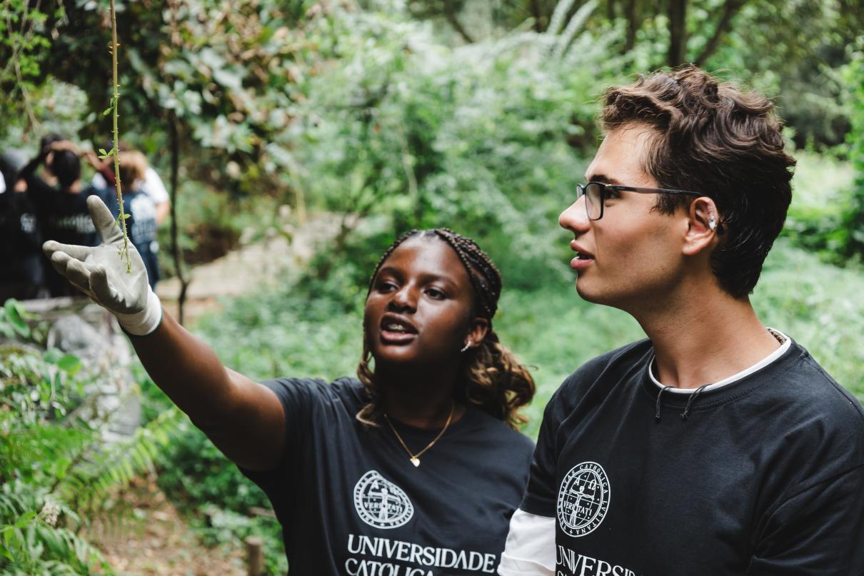 voluntários da católica